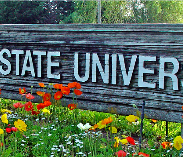 SSU sign